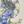hotaru71