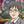 明命／命を紡ぐ占い師