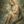SILO_Divination