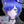 neo。