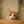 ねこ化計画