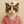 ねこ看護師ｌInstagram運用
