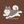 mugi_design17
