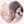 なぎのよりみち