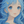 すぎ 