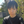 占い師　ライター