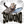sowond