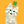 あむねこ