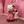 Nurse しんり