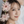 KIRI《魅せ方改善・婚活伴走》