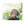 hammin たくみ