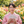 ゆぅかり。大人視点で恋愛霊視します❣