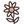 cocon_16