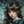 華風絵美