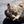 catman