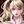 waka_www