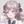 ただの いちご
