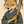 Foot_robin