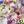 元保育教諭✴︎YUKA