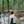wakana_koike