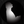 bba_essence