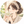 alice37