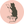 junta24