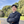 合同会社フクノネ