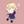 Licoris POP