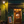 Lucerna Story