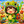 PYONA▪️TikTokアカウントPR