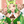 エルミナ0412