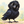 Raven1412