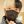 hidekimql