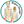 Midori Design A