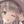 猫乃介