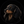 bark_