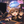 りゅうと。と申します