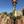 mogi_travel