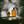 しゅんすけ_writer