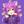 らむサムネ