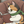 ノベルCat