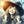 guranma_tarot ☆ ゆーみ