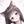 すずなりさくら