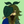 senri_hederaivy