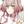 yukke51