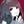 なしきあめ（あまなし）