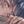 余生vanit_s