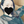 Sae__07