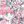 iwashi イラストレーター